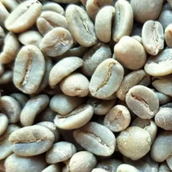 Café Vert Bio Colombie Madre Tierra - 1kg
