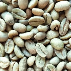 Café Vert D'Éthiopie Moka Lekempti G4 - 1kg