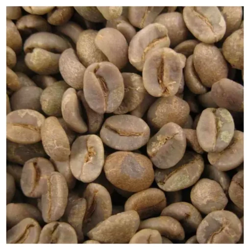 Café Vert Salvador Manzano Bourbon Rouge - 1kg